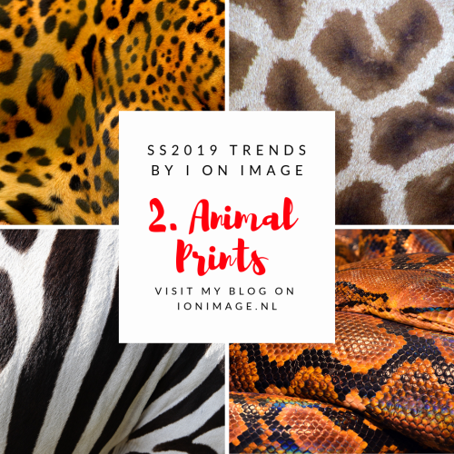 Spring Summer 2019 Fashion Trends Animal Prints